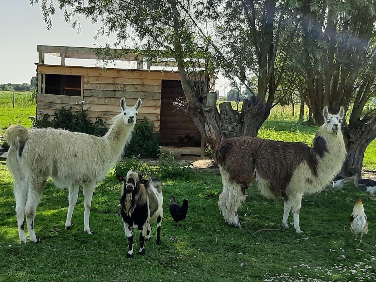 Gite Canard Fromelles Εξωτερικό φωτογραφία